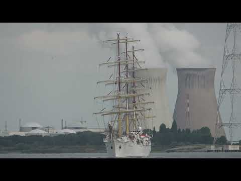 20220722   DAR MLODZIEZY arrival Tall Ships Race , ANTWERP