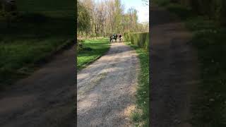 Natálka Se Svým Mazlikem Koníkem Brisem Miluje Klus