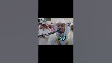 تلاوة مريحة ومميزة لسورة الحشر بصوت الشيخ ياسر الدوسري #quran #القرآن_الكريم #yasseraldossari
