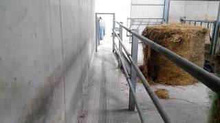 Farm buildings: 4 bay beef shed For this week