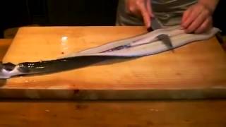 鰻 うなぎ のさばき方 大和の 魚のさばき方 Youtube