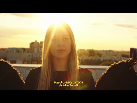 Paluch x Gibbs - INDICA (adekin Blend)