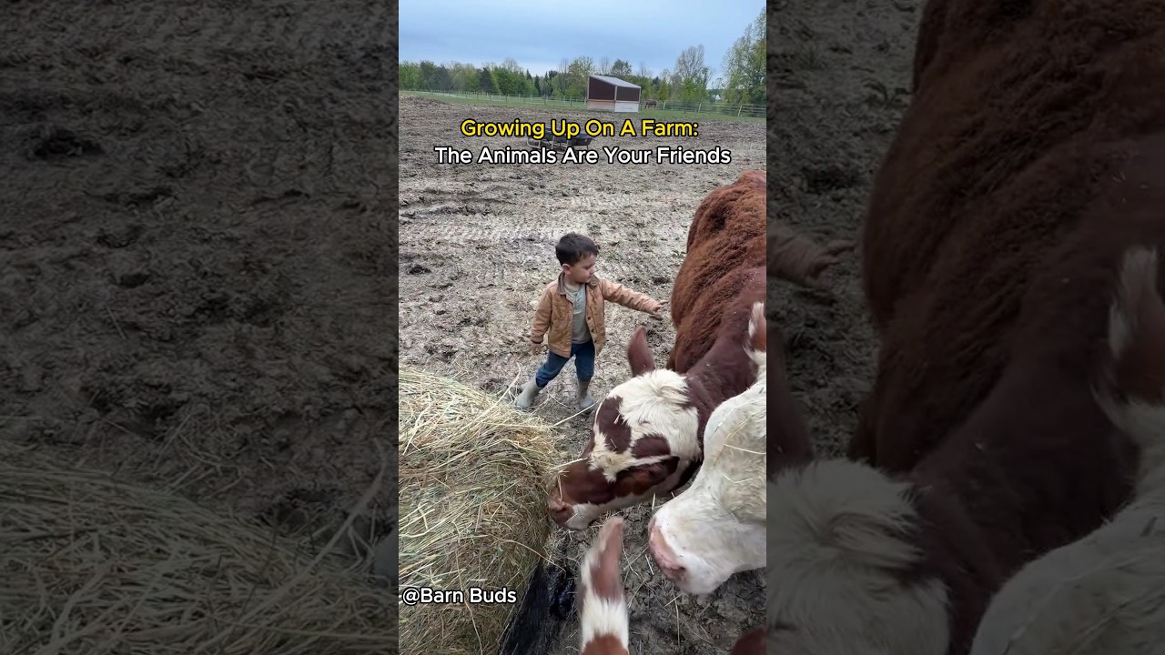 Growing Up On A Farm Means Making Friends With Animals#farmkids #cowgirl #farming #farm #children