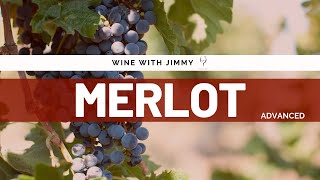 Key Grape Varieties: Merlot Advanced Version for WSET L3 and L4