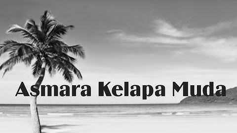 ASMARA KELAPA MUDA || SOLID AG FEAT INE SINTHYA || VIDEO COVER || MIS HAJIJAH