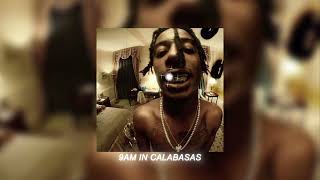 playboi carti - 9am in calabasas (sped up)