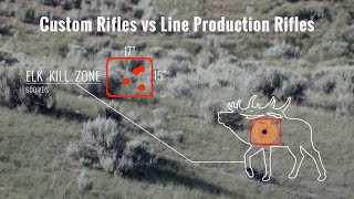 MOA — Custom Rifles Vs Line Production Rifles MOA — Custom Rifles Vs Line Production Rifles