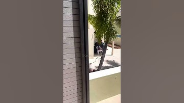 Before, During & After: WPC Fence Installation Transformation! 🏡✨