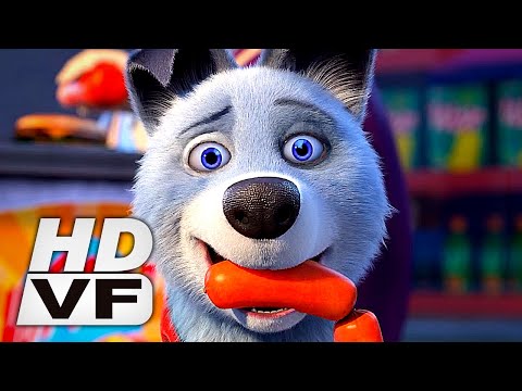 PETS UNITED : L'UNION FAIT LA FORCE Bande Annonce VF (NETFLIX, 2020)