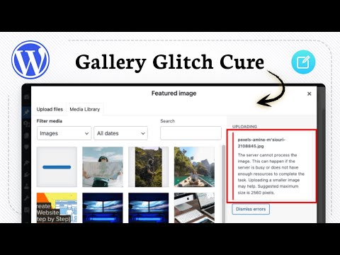 How to fix WordPress images not showing in the media library