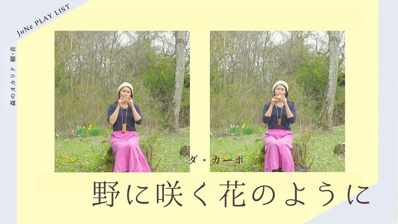 【Playlist】野に咲く花のように｜森のオカリナ樹音