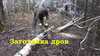 Заготовка дров - Багги Lifan 188F