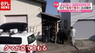 クマの「立てこもり」も…北陸３県でクマ出没騒ぎ相次ぐ、なぜ？（2020年10月29日放送「news every.」より）