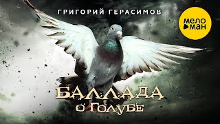 Григорий Герасимов - Баллада о голубе (Official Video, 2024)
