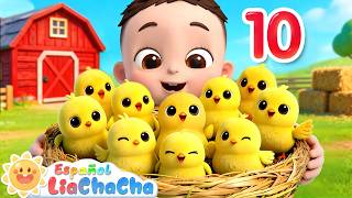 Diez Pollitos Cancion de la Granja LiaChaCha en Espanol - Canciones Infantiles