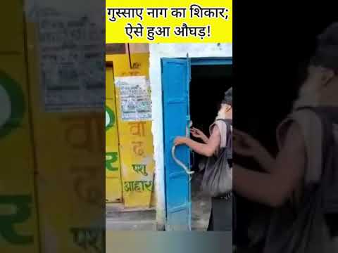 वीडियो: जहरीले लोग