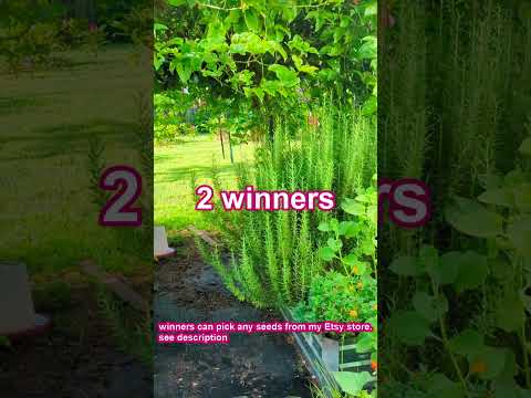 Friendly competition and free seed giveaway just in time for Fall planting