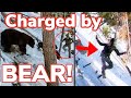 Bear Encounter Gone WRONG!