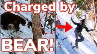 Bear Encounter Gone WRONG!