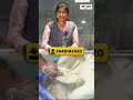 🏆 Market-லேயே சிறந்த Pulverizer.. Businessக்கு லாபம் தரும் MDM NICE 12 Pulverizer #mdm #pulverizer