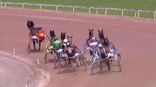 Vidéo de la course PMU PRIX DE GRENADE-SUR-GARONNE