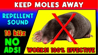 ANTI MOLES REPELLENT SOUND ⛔🦡 KEEP MOLES AWAY - ULTRASONIC SOUND screenshot 3