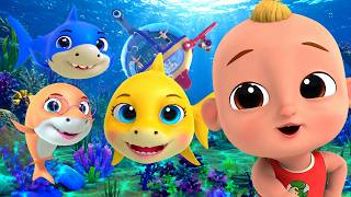 Baby Shark Is Ready to Dance! 🦈 |  Nursery Rhymes & Kids Songs