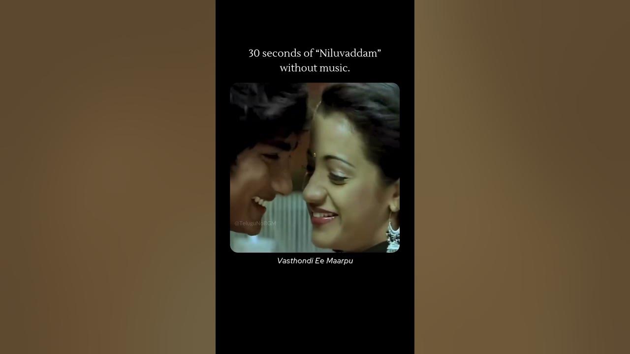 Niluvaddam (Nuvvostanante Nenoddantana) - Without Music
