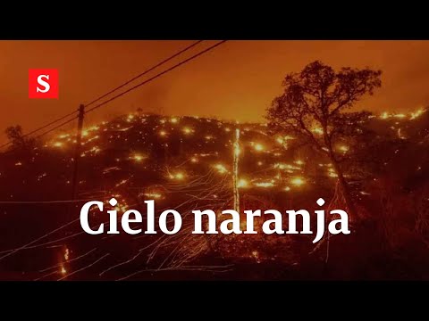 Cielo naranja: Impresionantes imágenes tras los incendios en California y Oregon | Videos Semana
