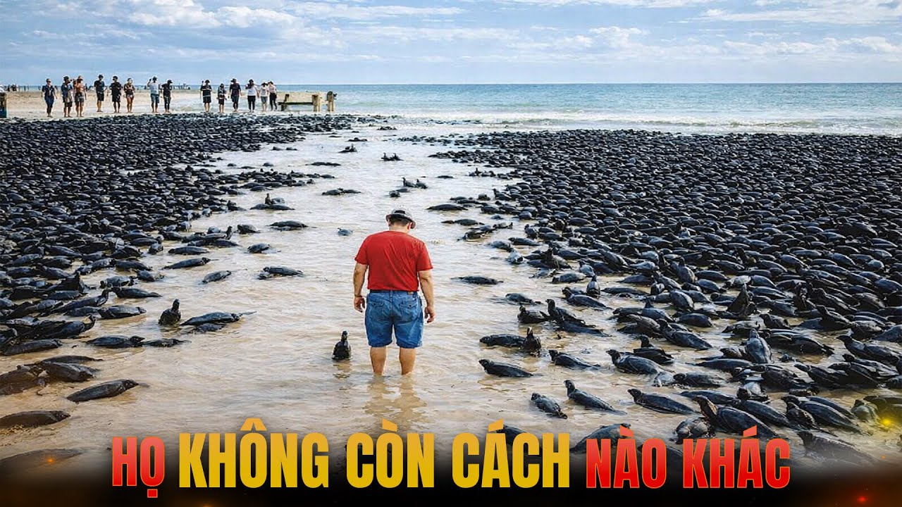 Những Loài SINH VẬT - Mỹ Buộc Phải Ra Lệnh PHẢI GI.ẾT NGAY LẬP TỨC!