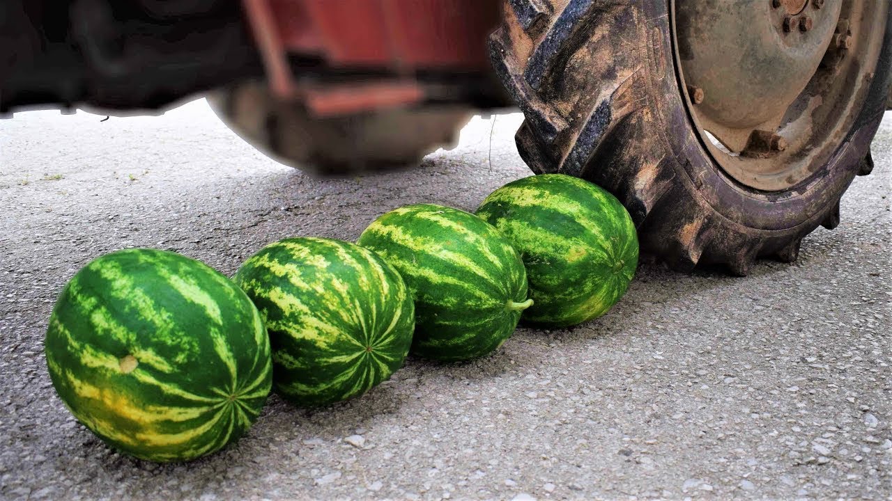 EXPERIMENT 5 WATERMELONS vs TRACTOR YouTube