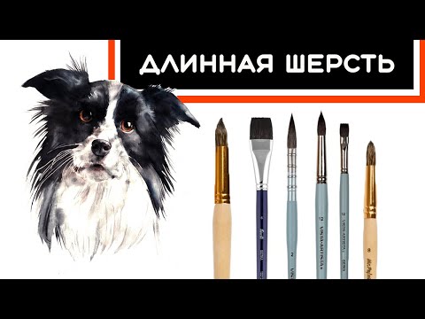 Урок Рисования Акварелью : ТЕХНИКИ И ПРИЁМЫ //Длинная шерсть у собаки // Собака Акварелью