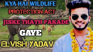 Elvish Yadav Bailed |Know what is wildlife protection Act |Elvish Controversy|Apurwa Sumant