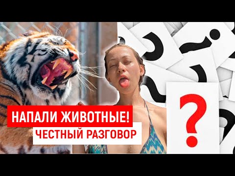 СИЛЬНО НАПУГАЛИ В ЗООПАРКЕ,  ОТВЕТЫ НА ВОПРОСЫ и COOKING ! Бали Влог