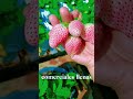 Innovación agrícola para una nueva generación #Hidroponia #Hydroponics #SmartFarming #AgroInnovation