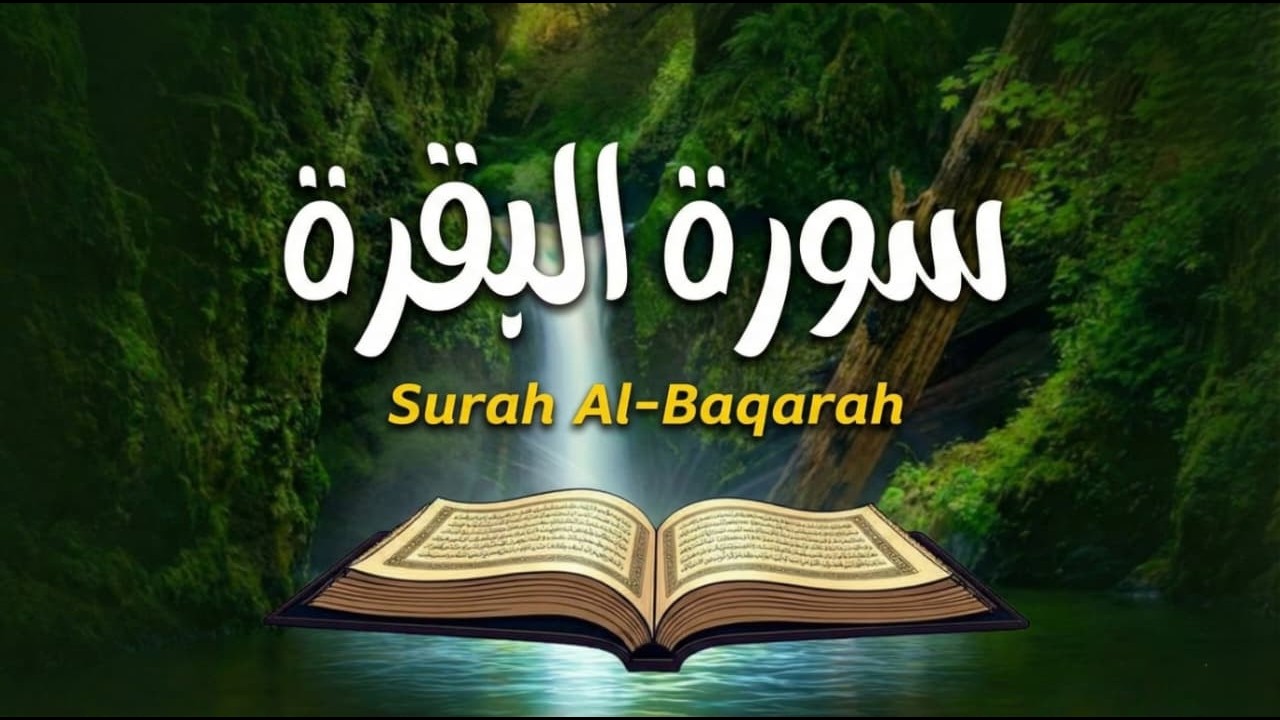 سورة البقرة طاردة الشياطين💚بصوت هادئ ومريح جدا جدا 💚💤تلاوة هادئة للنوم والراحة النفسية 😴