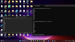 How to sort file using cmd Wealth