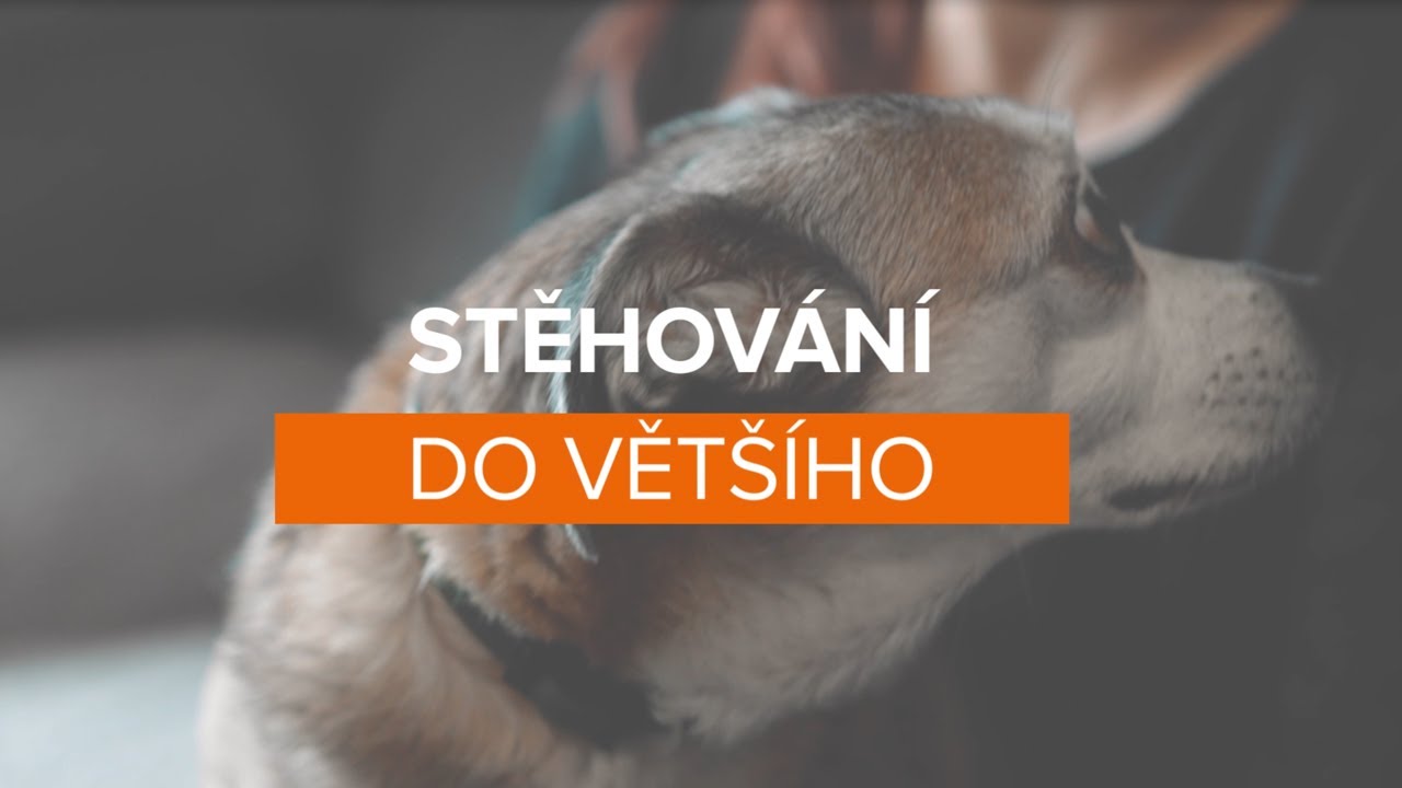 Spokojení klienti – manželé Kučabovi