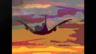 Miniatura de vídeo de "Birdplane - Axis of Awesome"