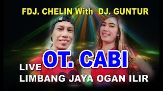 MIX. HOUSE .OT. CABI  WITH .. FDJ. CHELIN VS  DJ. GUNTUR LIVE LIMBANG JAYA OGAN ILIR
