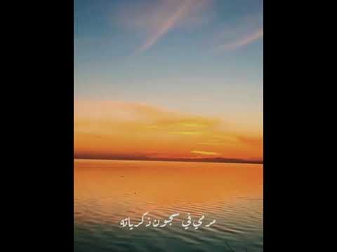 قلبي تلخبط في حساباته فجأه افترقنا تامر حسني حالات واتس اب