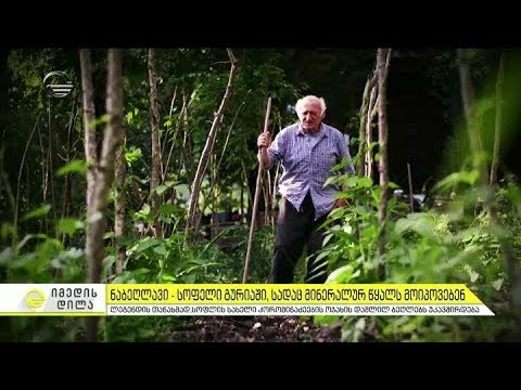 სოფელი გურიაში, სადაც მინერალურ წყალს მოიპოვებენ