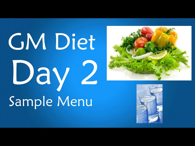 Day 2 Indian Version Gm Diet