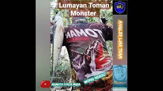 Orang Desa Beda Dengan Orang Kota Strike Monster