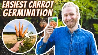 How to Plant Carrot Seeds Intensively | The Most Effective Strategies for Carrot Success by Nextdoor Homestead 4,620 views 8 months ago 14 minutes, 31 seconds