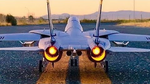 Freewing 80mm F-14 with Gooniac’s LED Afterburners