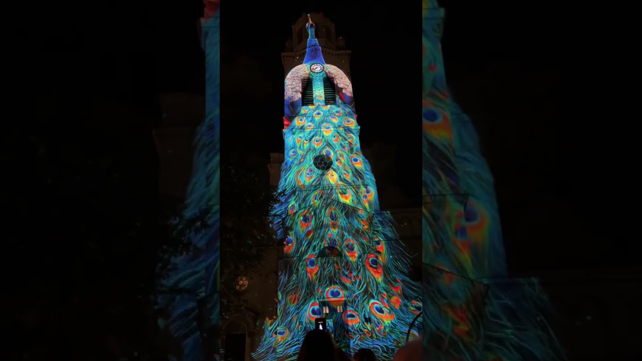 Light.Move.Festival Polska