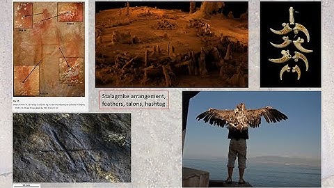 Exploring The Human-Ape Paradox: Iain Davidson - Art, Story, Mind