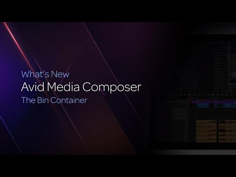 The Bin Container in Media Composer