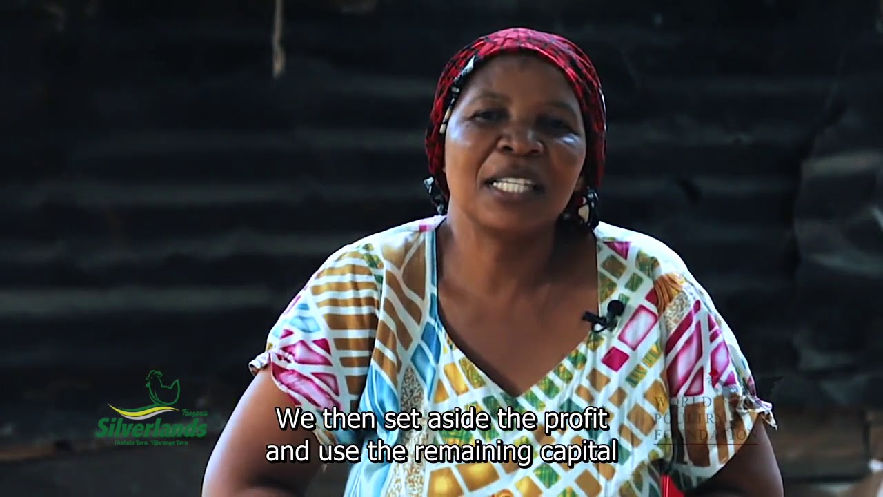 SASSO SILVERLANDS TANZANIA  ( English Subtitle)